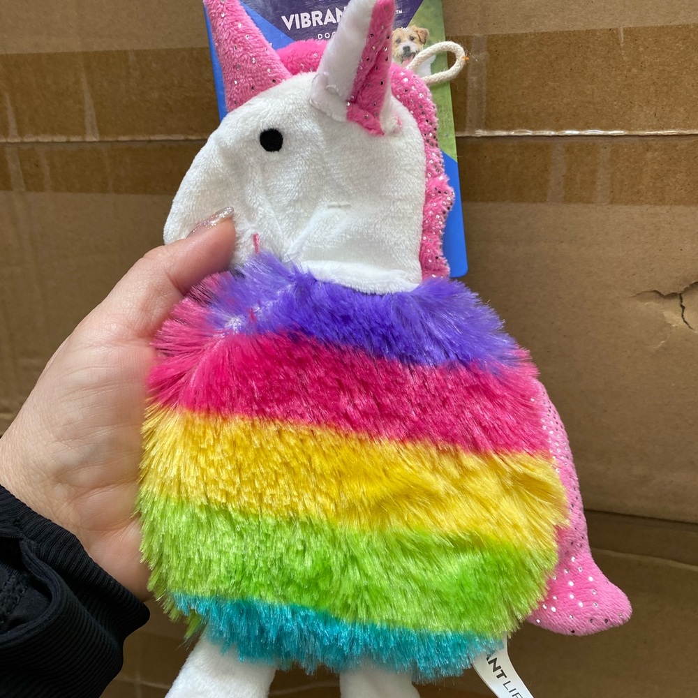 Toy